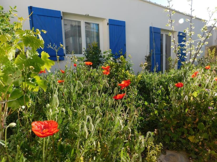 Maisonnette De Jardin Marselha Exterior foto